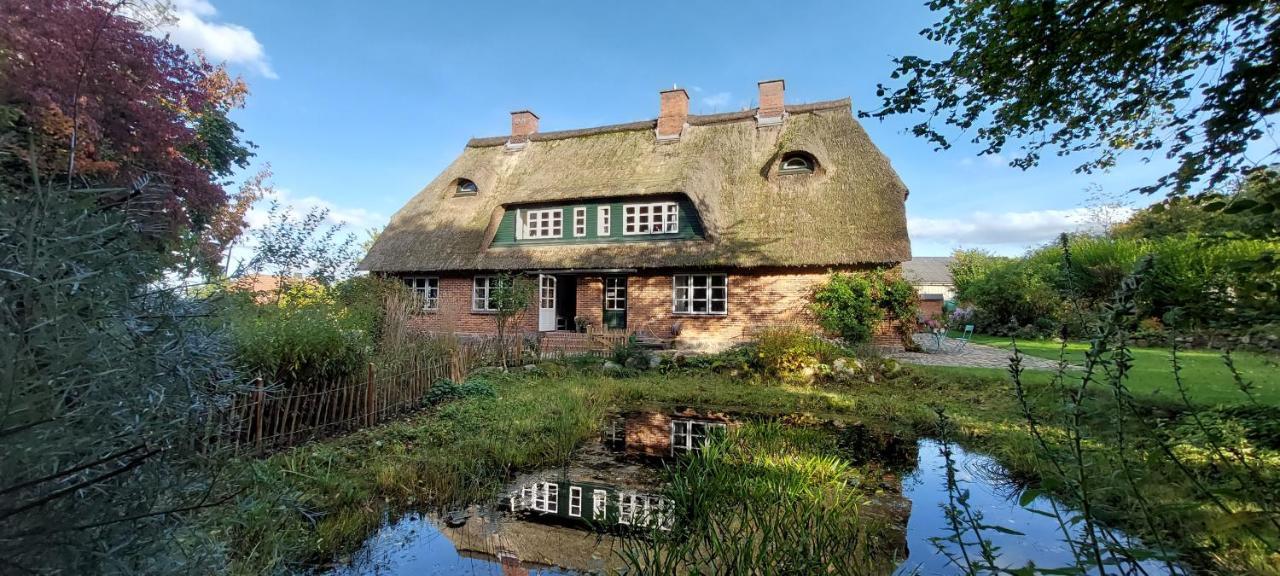 Westensee "Haus Auf Dem Berg" 아파트 외부 사진